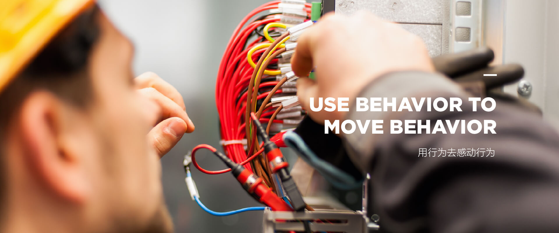 首頁關(guān)于我們